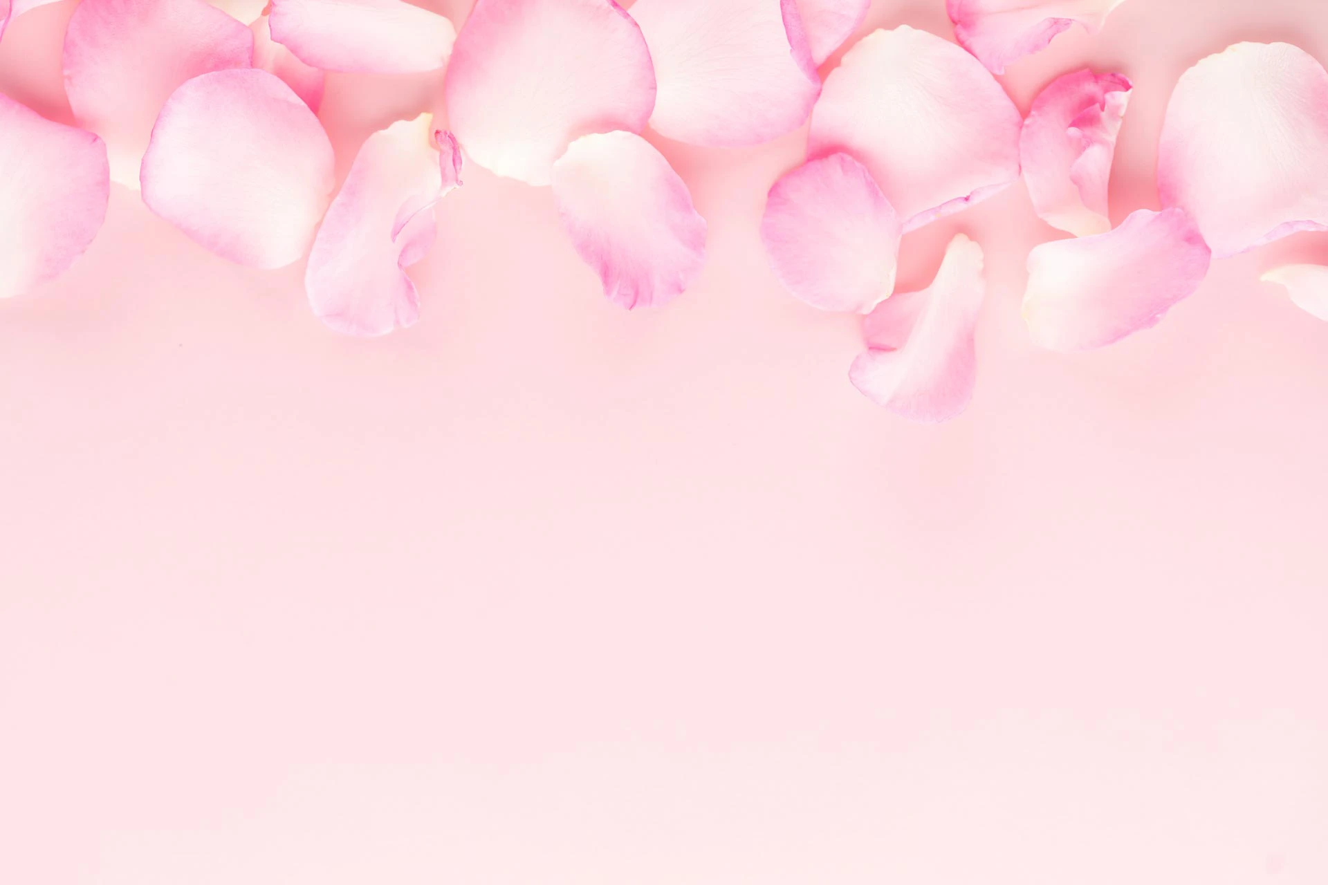 Fondo con imagen de flores